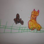 DSCN4811