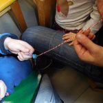 braxioloaki _Marti