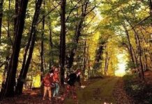 Νέος κύκλος Σεμιναρίων. Εκπαίδευση στην Τέχνη της Αφήγησης.